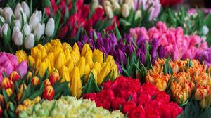 Flowers Prod 23